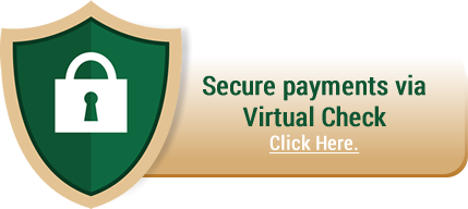 Secure Payments Via Virtual Check Button